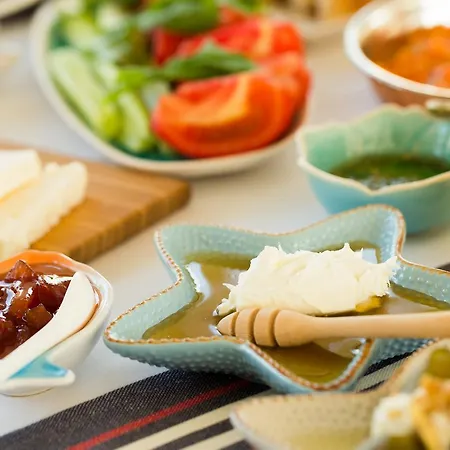 Levin 酒店 阿拉恰特