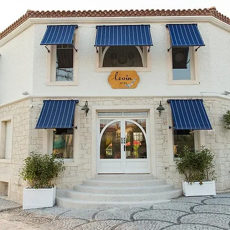 Levin