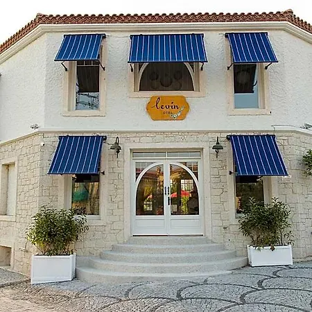 Levin *