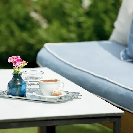 Levin אלאקאטי