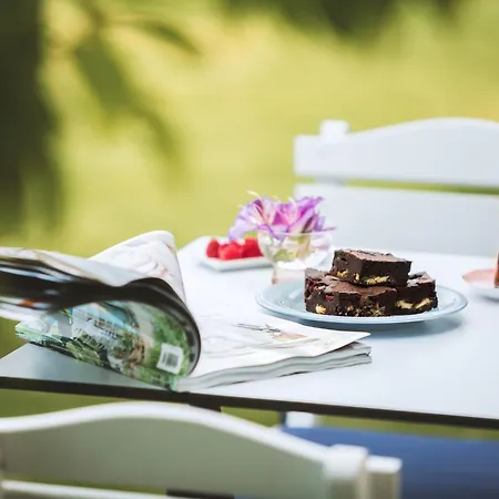 Levin אלאקאטי