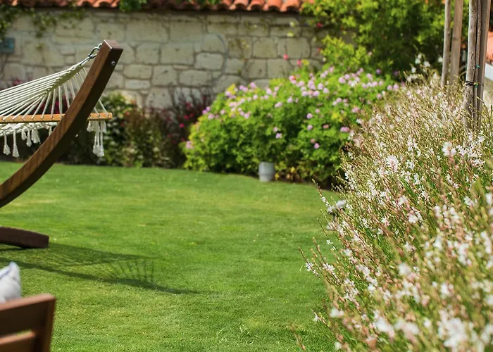 Levin * Алачати