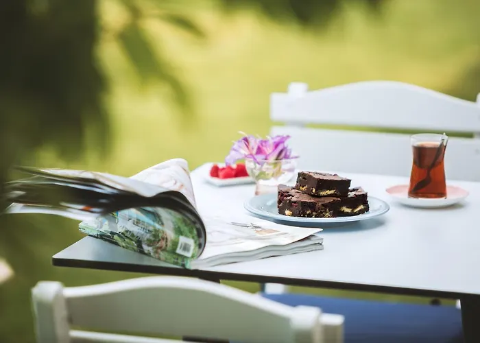 Levin Алачати